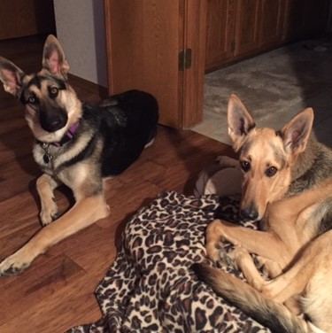 Lilly and Max